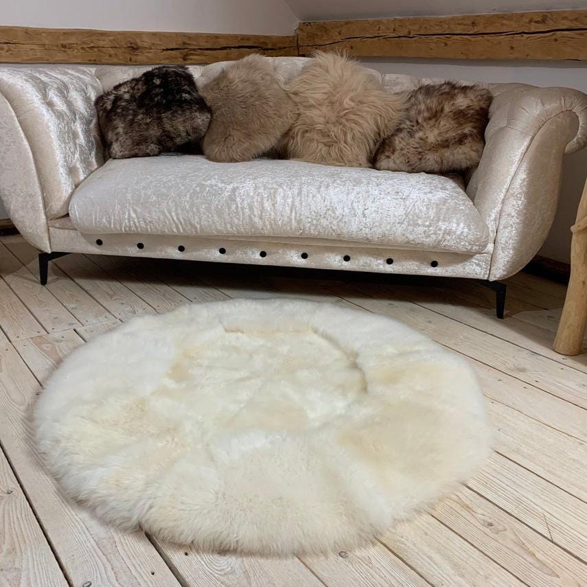 kinnoti Dog Carpet