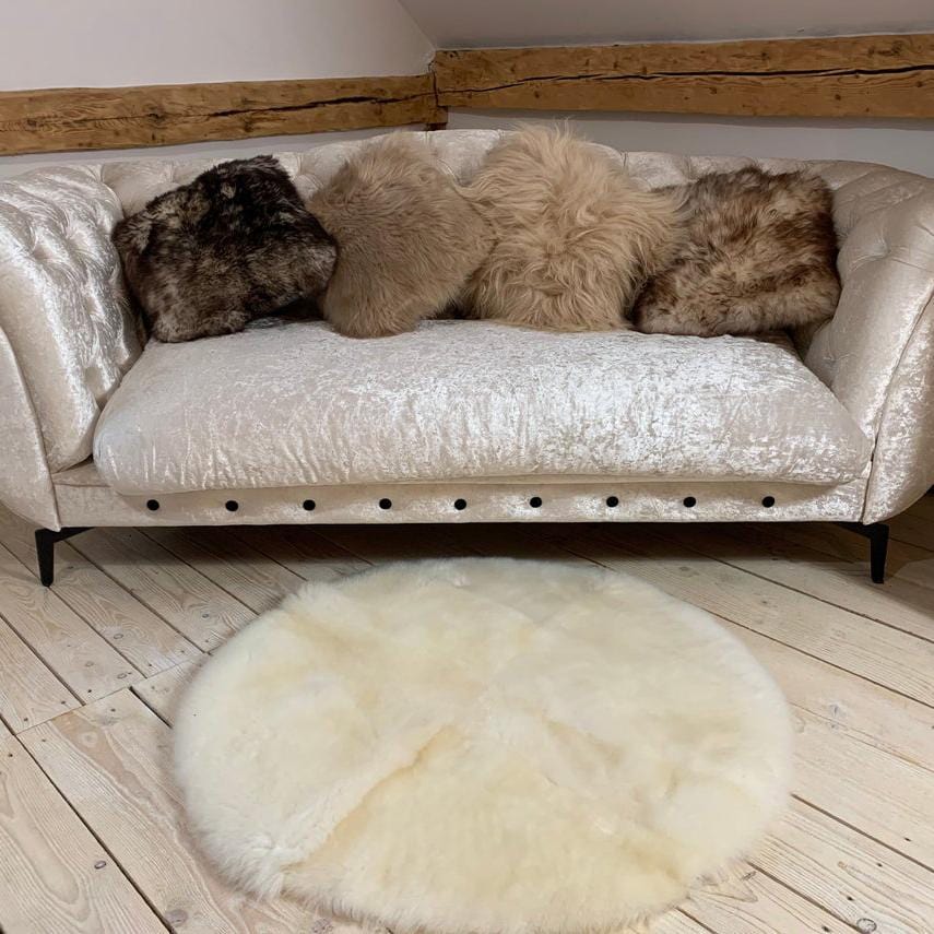 kinnoti Dog Carpet