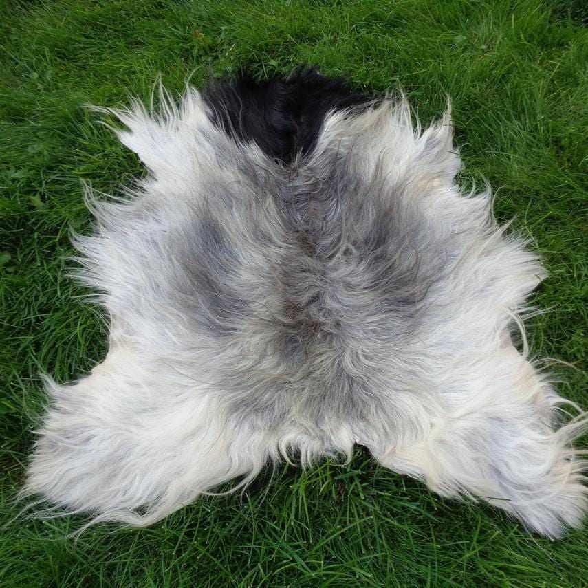kinnoti Dog Carpet