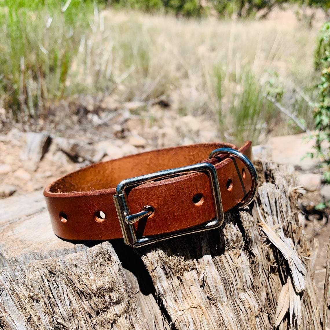 kinnoti Leather Dog Collar