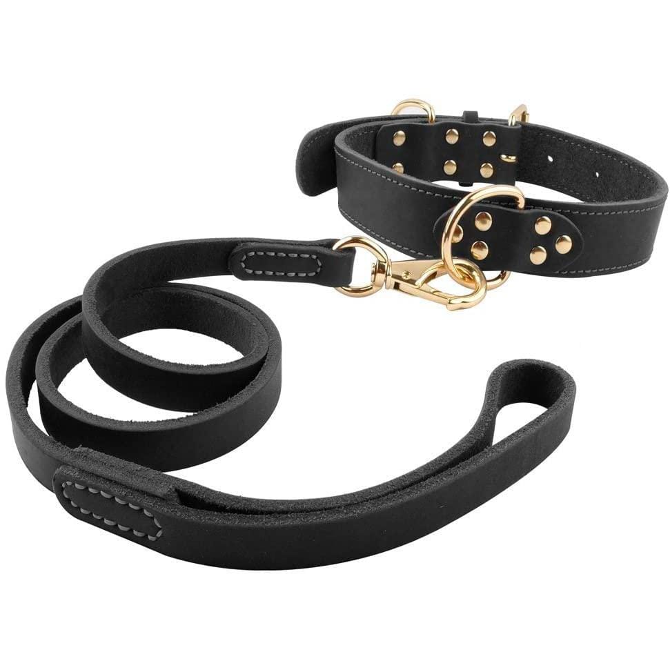 kinnoti Leather Dog Collar