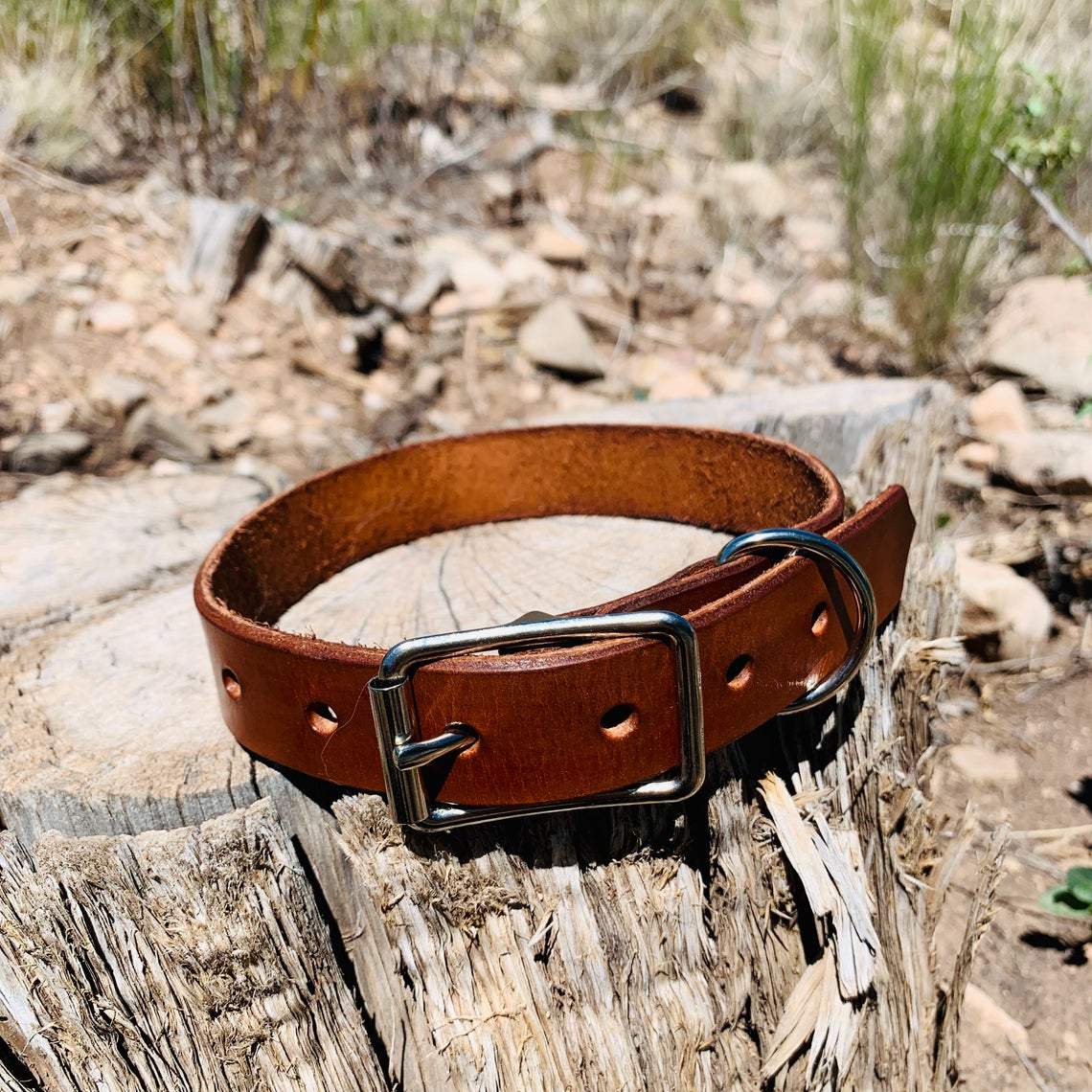kinnoti Leather Dog Collar