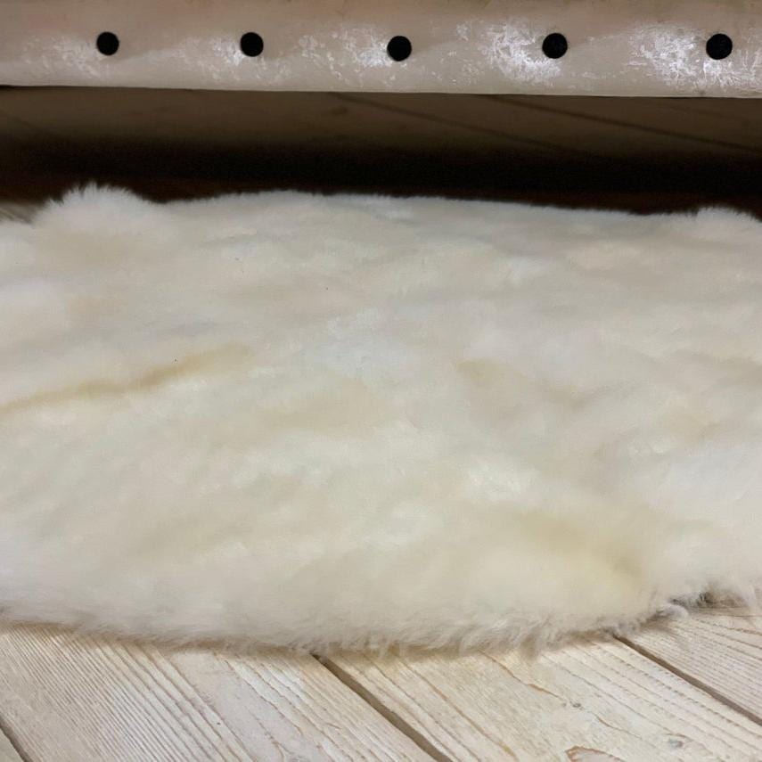 kinnoti Dog Carpet