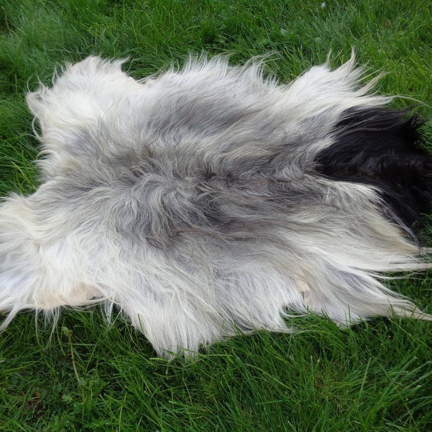 kinnoti Dog Carpet