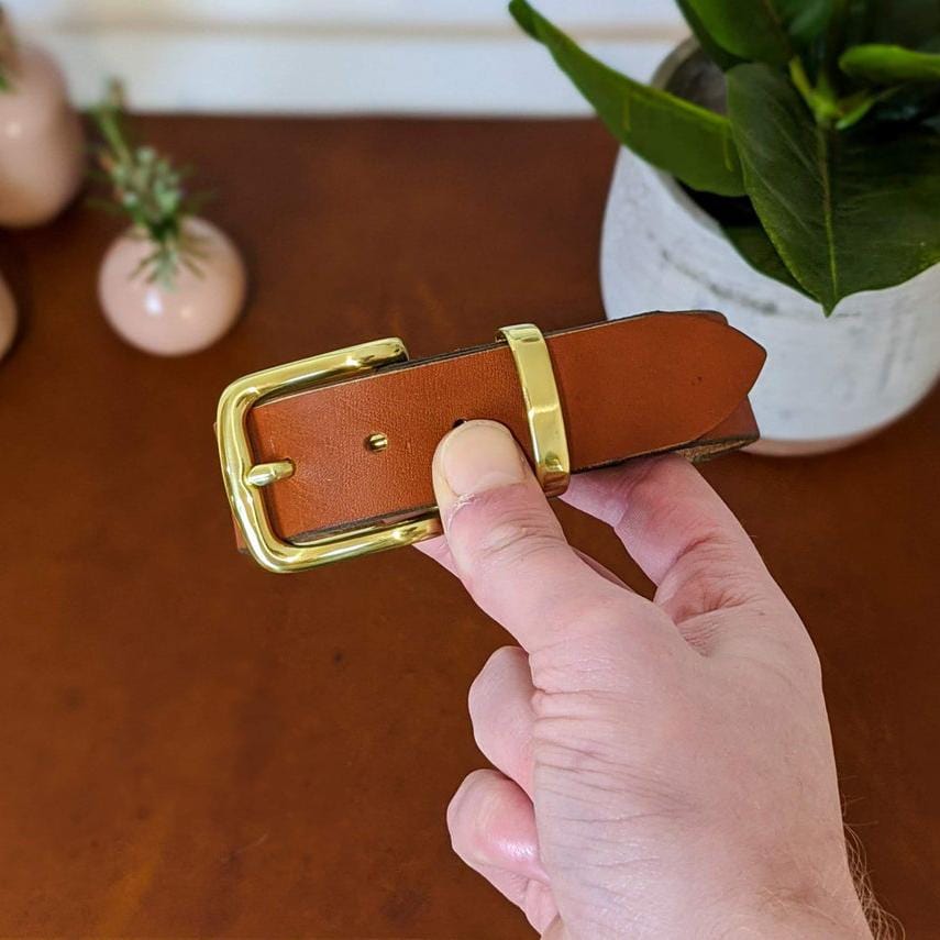 kinnoti Leather Dog Collar