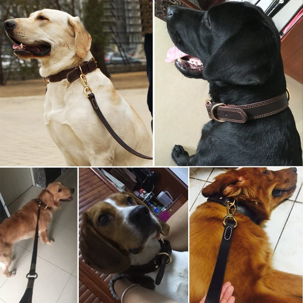 kinnoti Leather Dog Collar