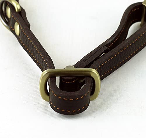 kinnoti Leather Dog Collar